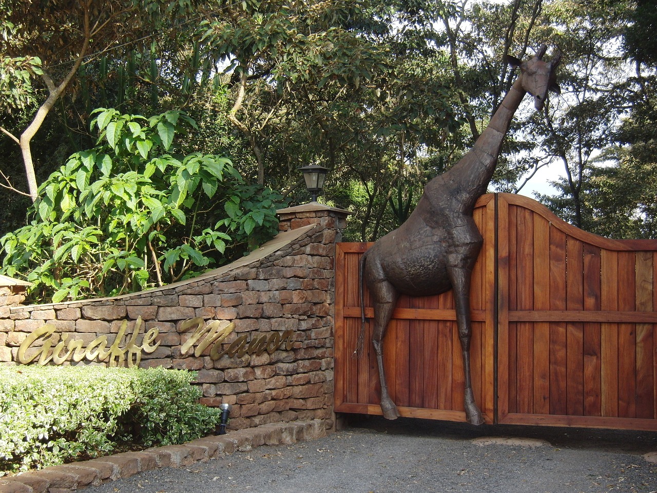 Nairobi City -shedrick's- Carnivore - Karen Brixen - Giraffe Centre